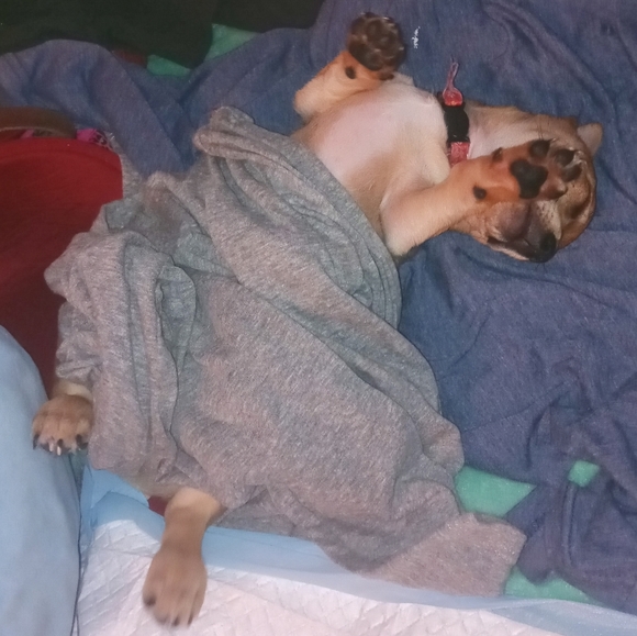 ♡ Rest in peace Buddy ♡ - Picture 8 of 15